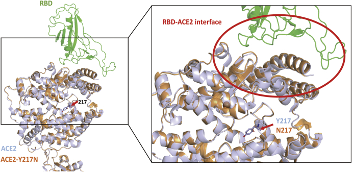 Figure 4