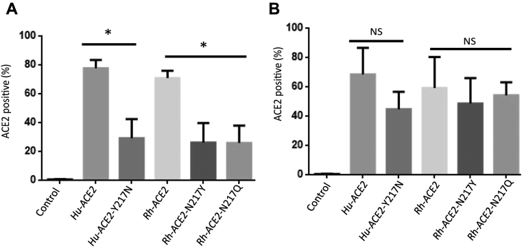 Figure 5