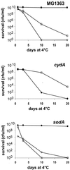 FIG. 4