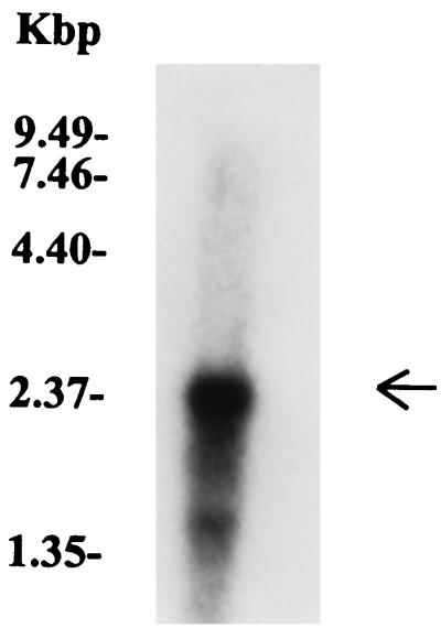 FIG. 6