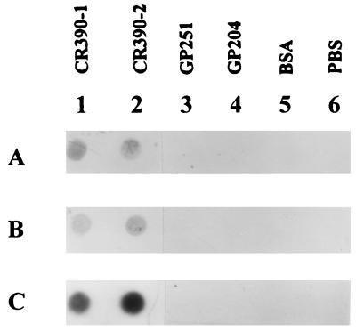 FIG. 8