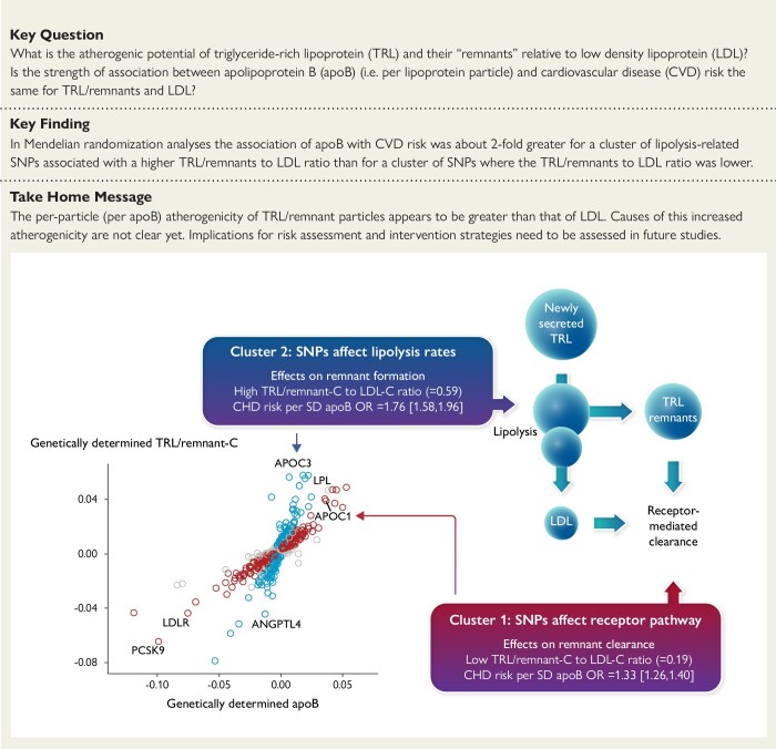 Structured Graphical Abstract