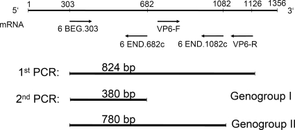 FIG. 1.