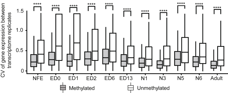 Figure 5