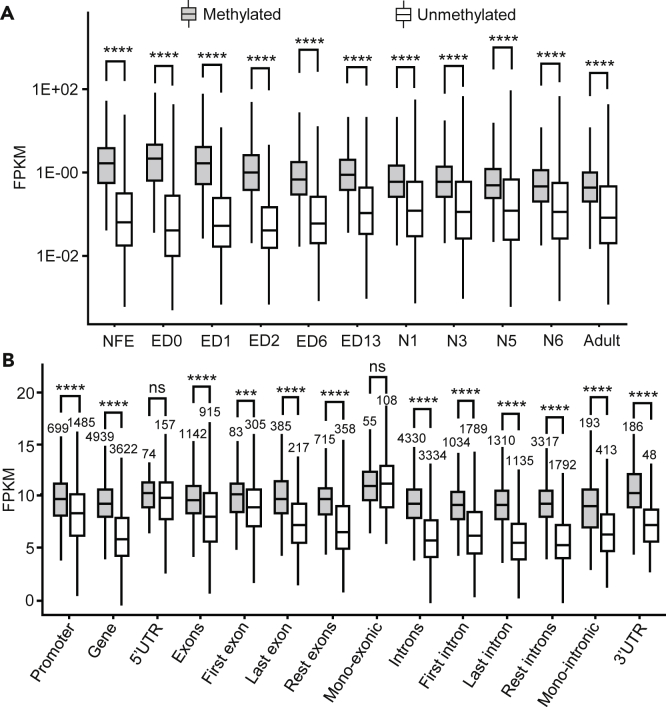 Figure 3