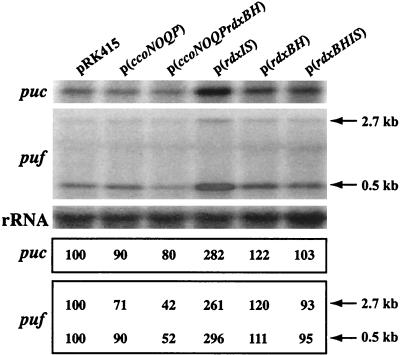 FIG. 6.