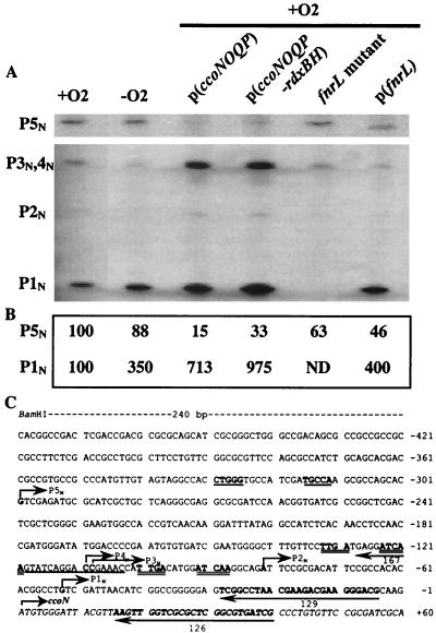 FIG. 3.