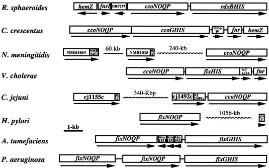 FIG. 7.