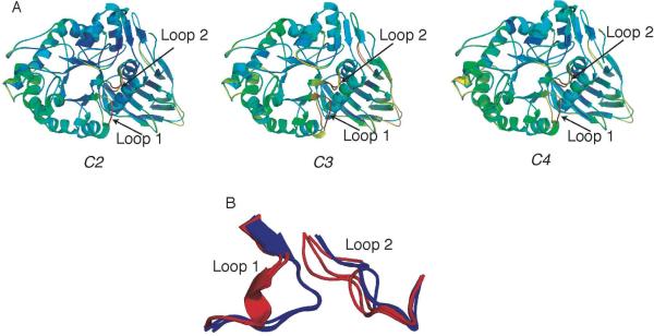 Fig. 2