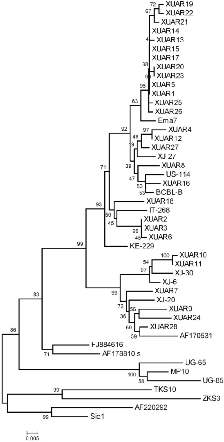 Figure 1