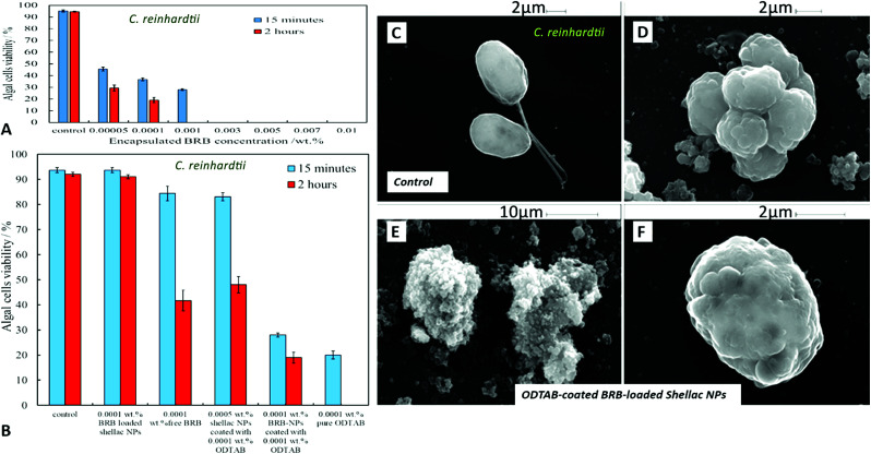 Fig. 10