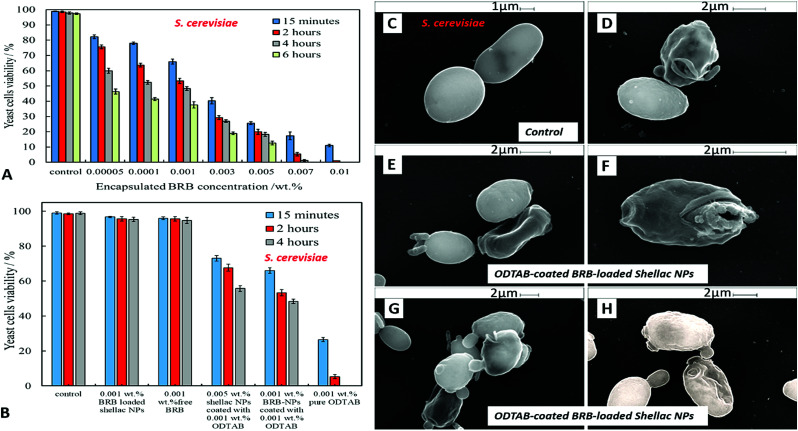 Fig. 11