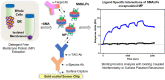 Image, graphical abstract
