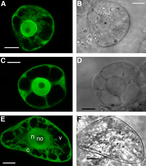 Figure 6.