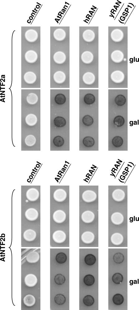 Figure 3.