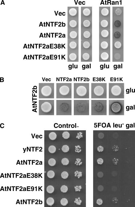 Figure 4.