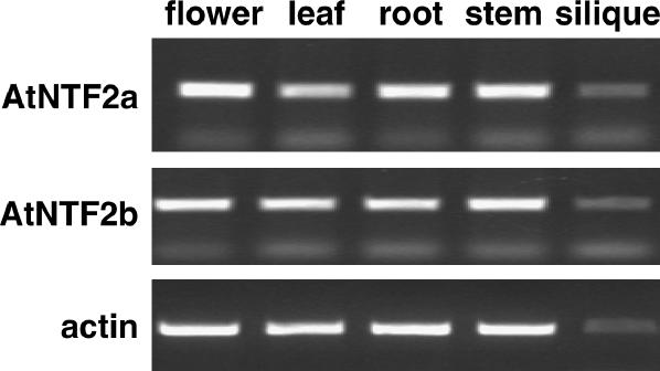 Figure 5.