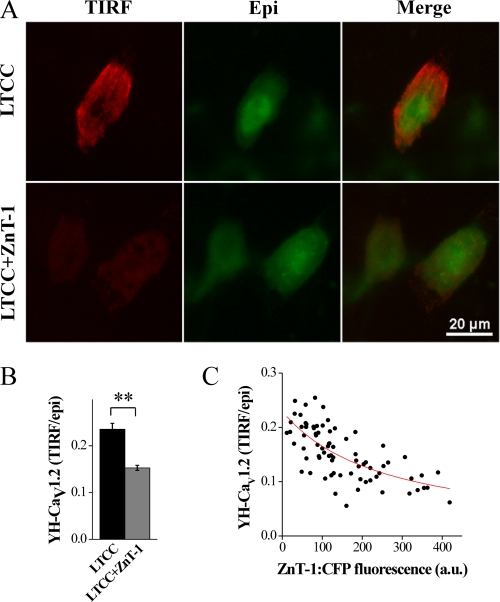 FIGURE 4.