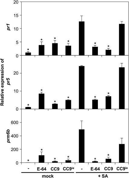 Figure 3.