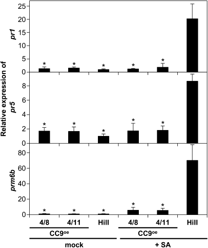 Figure 5.