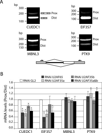 FIG. 7.