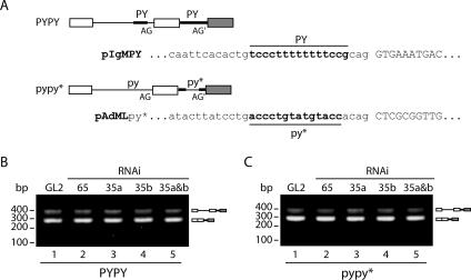 FIG. 5.