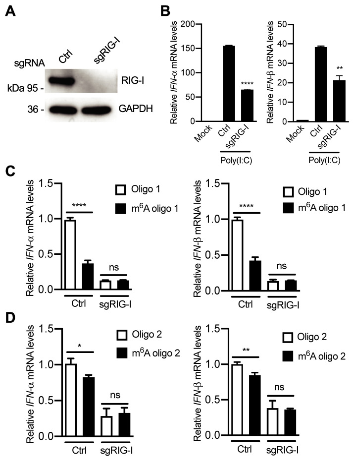 Fig 10