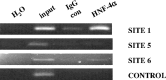 Fig. 9.