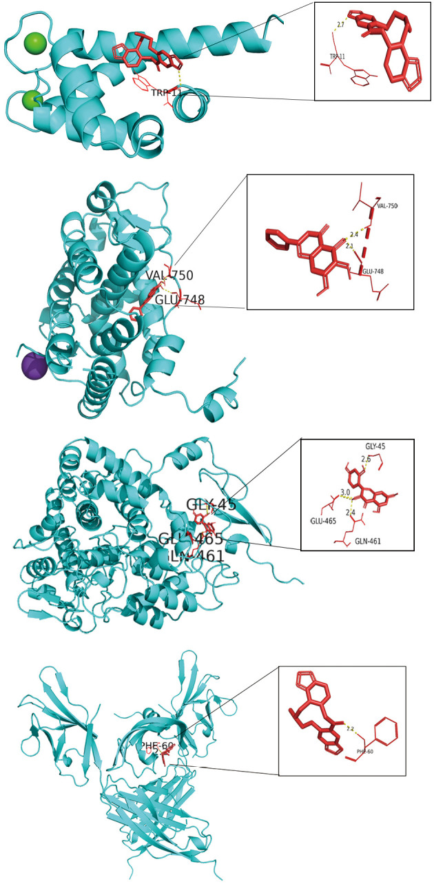 Figure 10