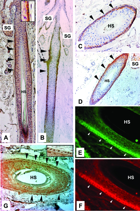 FIG. 6.