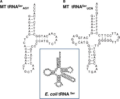 Figure 4