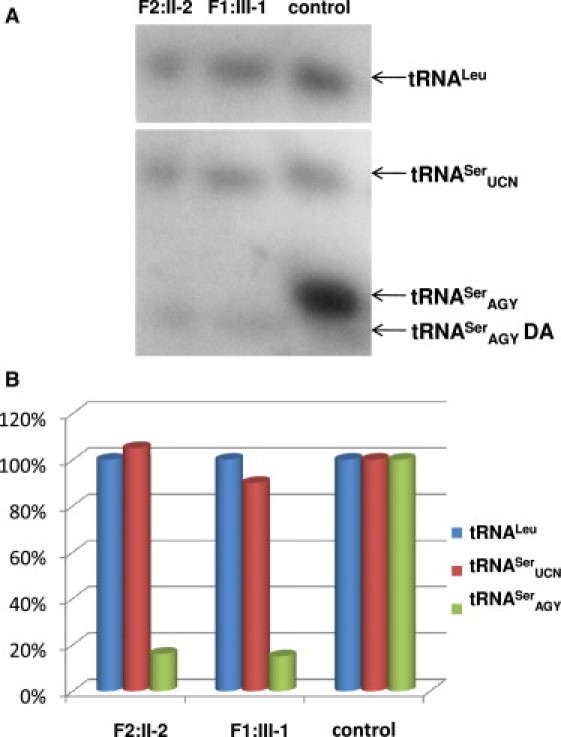 Figure 5