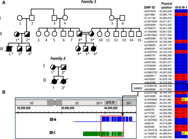 Figure 1