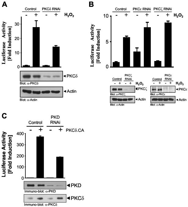 FIG. 12.