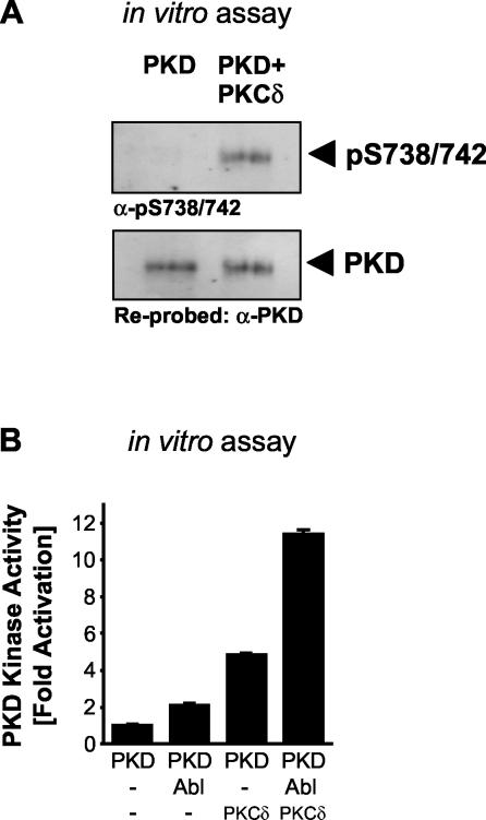 FIG. 8.