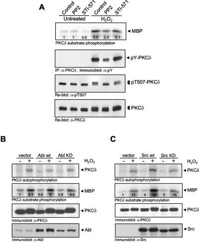 FIG. 10.