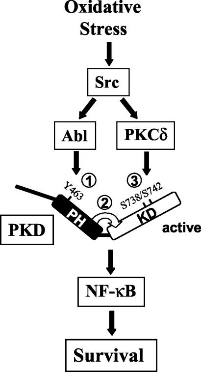 FIG. 14.