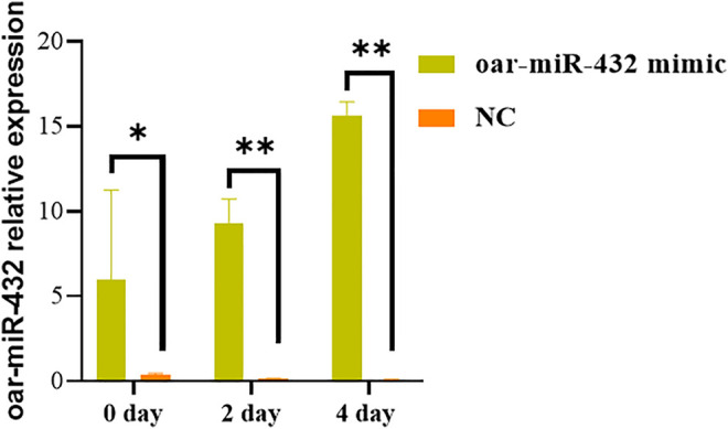 FIGURE 2