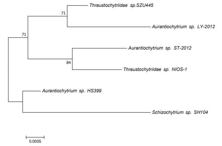 Figure 6