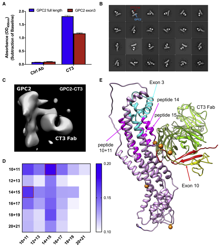 Figure 3