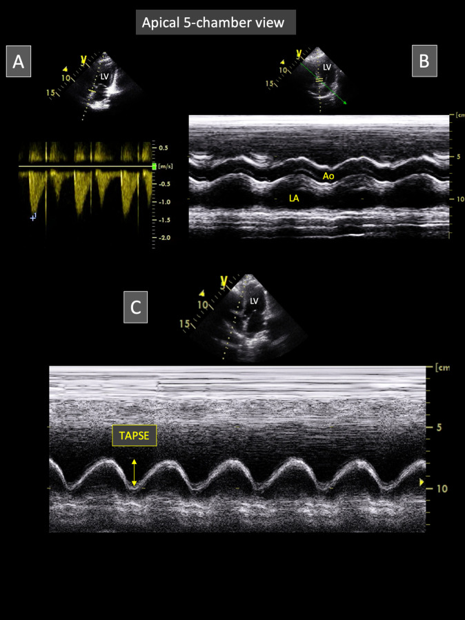 Fig 4