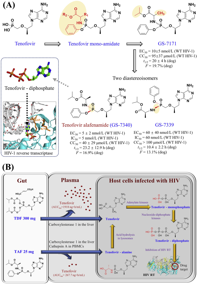 Figure 3