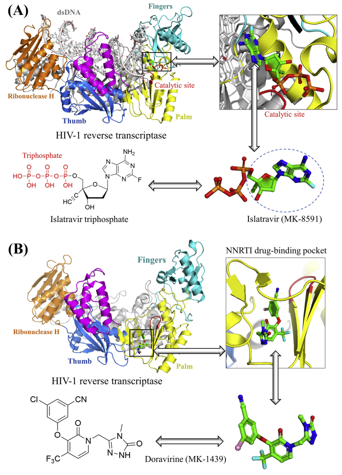 Figure 2