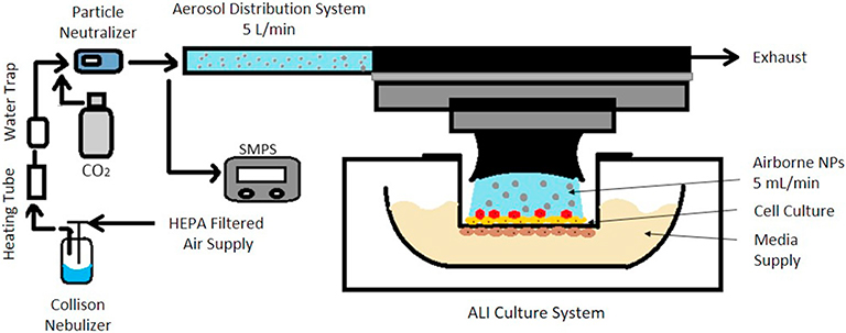 Fig. 1.