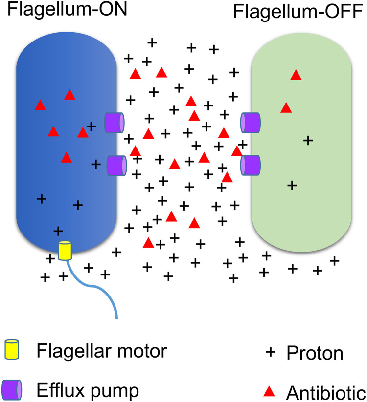 FIG 9