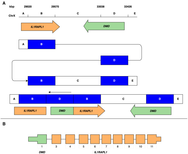 Figure 3.