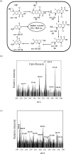 Fig. 11