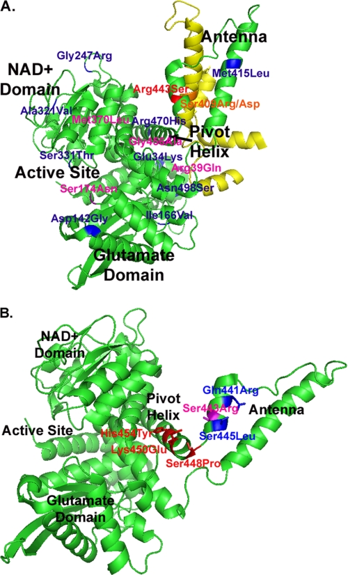 FIGURE 1.