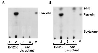 FIG. 5