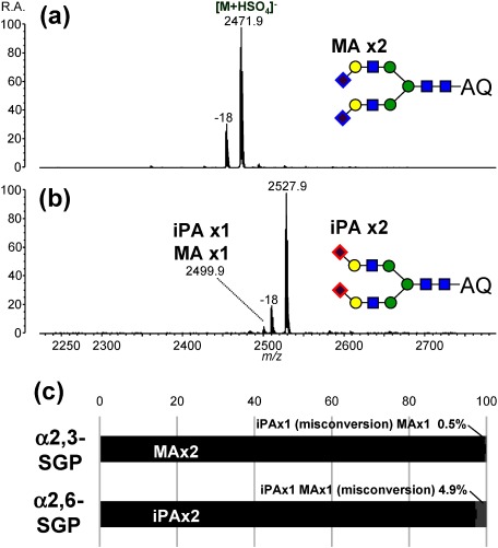 Fig. 10. Negative-ion MALDI mass spectra of SALSA-derivatized A2-type N-glycans released from SGP standards; (a) α2,3-SGP and (b) α2,6-SGP. Mass spectra were obtained by MALDI-QIT-TOF MS in the negative-ion mode after on-plate 3-AQ labeling using 3-AQ/CA liquid matrix. Associated dehydrated peaks correspond to laser-induced dehydration between sulfate anions and N-glycans. The 100% stacked column chart (c) shows relative intensities of the correctly-amidated forms (black) and their singly-misconverted forms (gray). Doubly-misconverted forms were not detected in any cases. Error bars indicate standard deviations of quadruple analysis. Reproduced with permission from ref. 72. Copyright (2017) American Chemical Society.